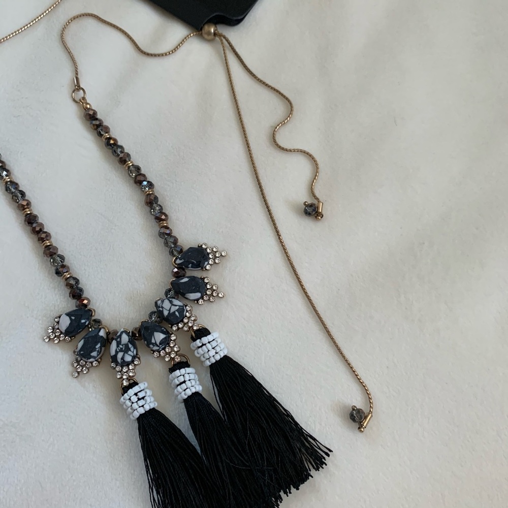 NWT Steve Madden Drop Fringe Necklace